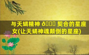 与天蝎精神 🐟 契合的星座女(让天蝎神魂颠倒的星座)
